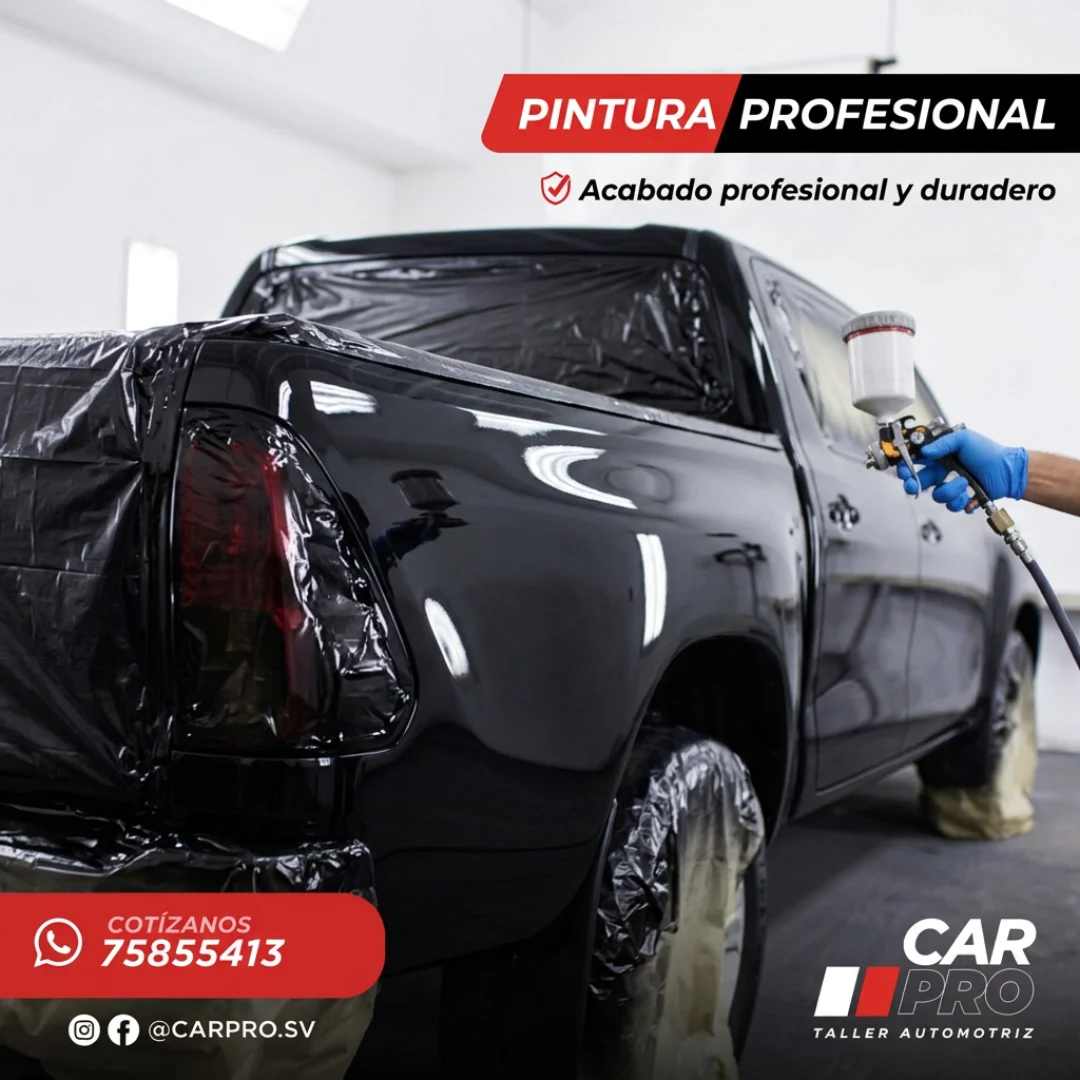 Pintura profesional